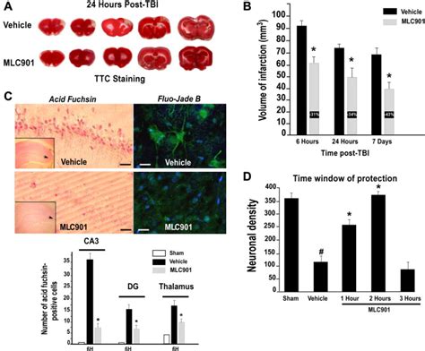 MLC901 A Traditional Chinese Medicine Induces Neuroprotective And