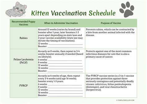 Kitten Vaccination Schedule Template - Fill Out, Sign Online and ...