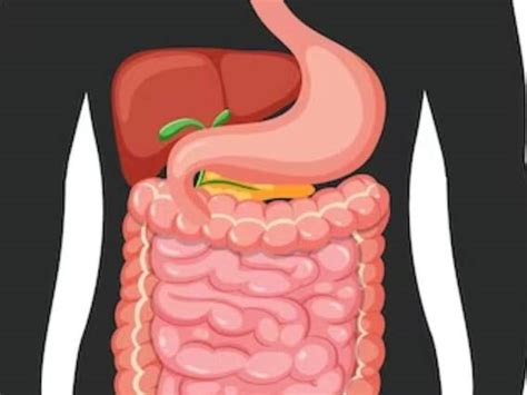 Small Intestine Problems Causes Remedies Treatment | Health Tips: आंत में खराबी होते ही शरीर में ...