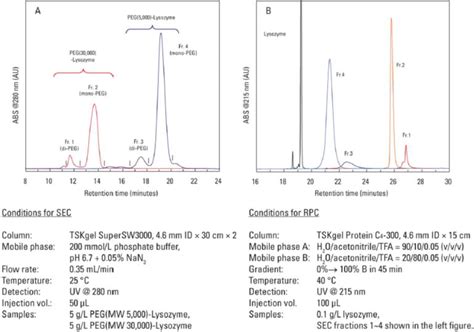 Separation Of Monoclonal Antibodies By Analytical Size Exclusion Chromatography Intechopen