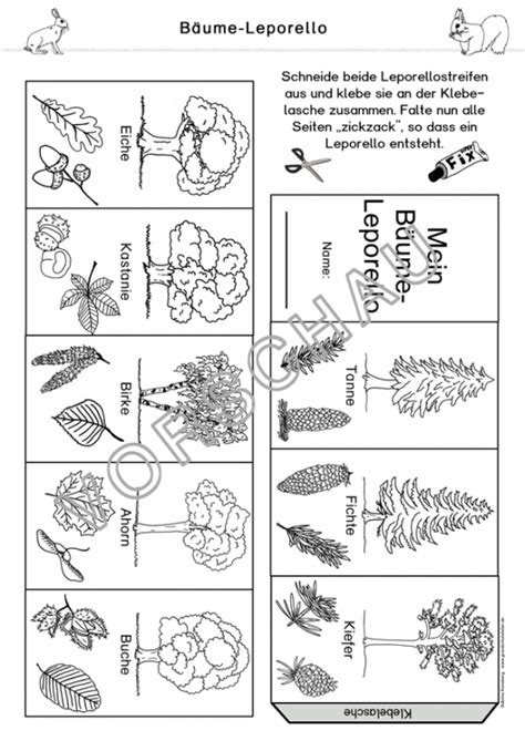 Kostenlose Arbeitsblätter Über Laubbäume Baturytly
