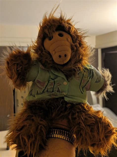 Found my Alf puppet. Pizza hut 1980s something : r/80s