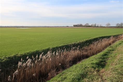 Turf Field By Long North Fen Drove © Hugh Venables Geograph Britain