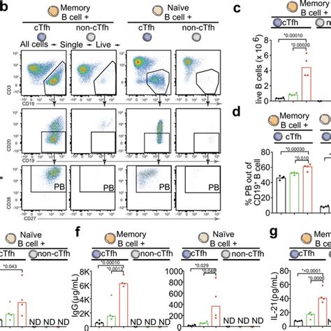 Ctfh Isolated From Severe Covid Patients With Acute Disease Support