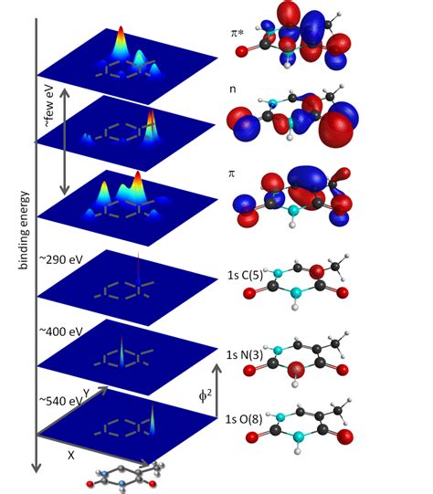 Probing Molecular Dynamics With Free Electron Lasers Exp Quantum