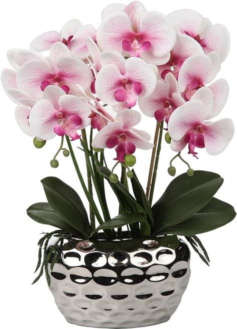 Briful Orchid E Phalaenopsis Artificielle De Cm Fleurs