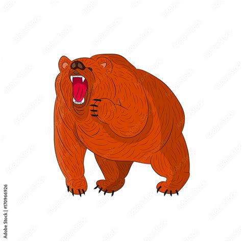 Angry Grizzly Bear Brown Growls Cartoon On White Background Stock