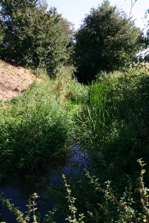 Drainage Ditches Explore The Weald Moors