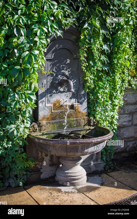 Drinking fountain wall covered by plants Stock Photo - Alamy