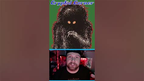 Cryptid Corner Momo The Missouri Monster Youtube