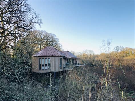 Treetop gazing in the New Forest’s Chewton Glen — Carla Buzasi