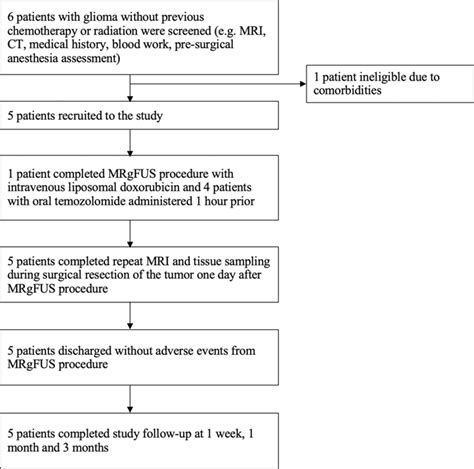 Blood Brain Barrier Opening In Primary Brain Tumors With Non Invasive