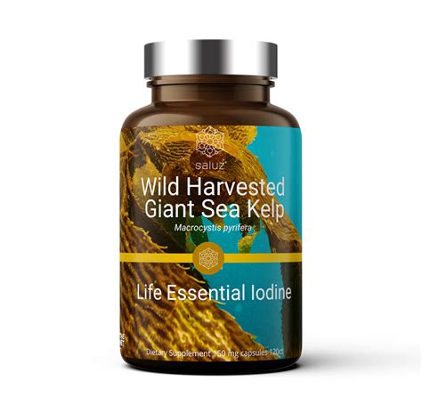 Benefits Of Iodine Kelp