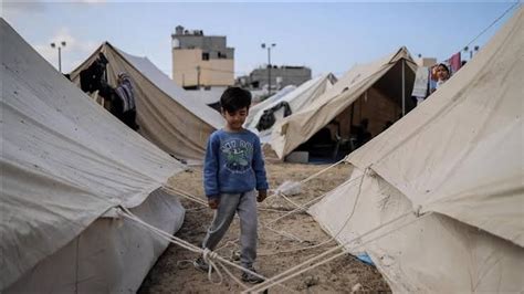 Urgent Appeal Help The Afflicted In Gaza Globalgiving