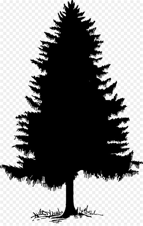 Free Cedar Tree Silhouette, Download Free Cedar Tree Silhouette png ...