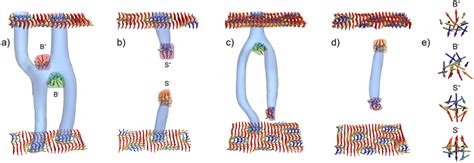 Characteristic Topological Transitions Present In The Msfr Showing