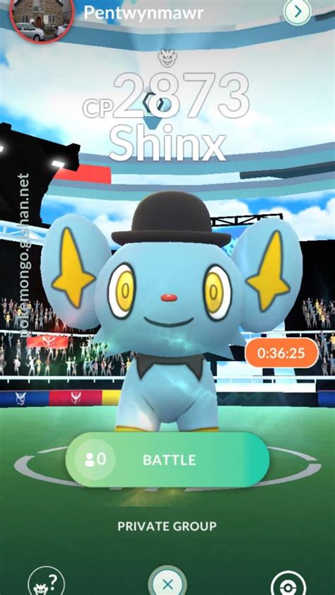 Shinx Raid Boss - Pokemon Go