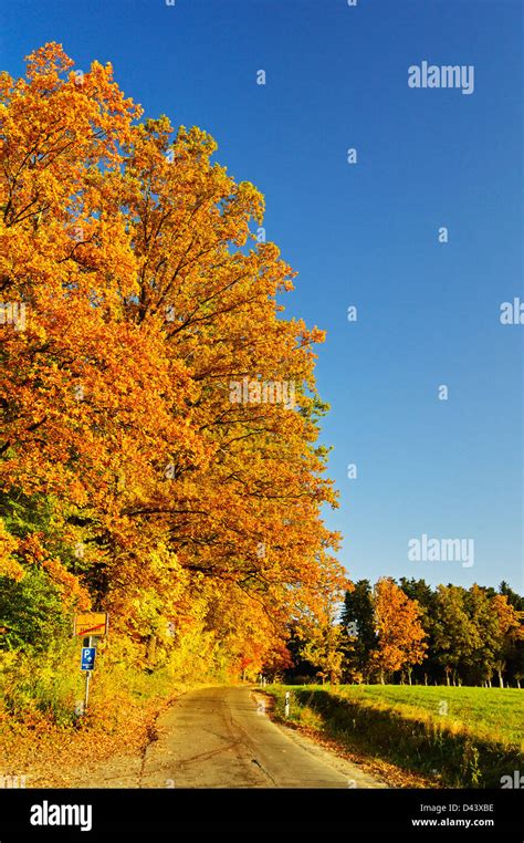 schwarzwald baar baden wurttemberg germany stock photo alamy