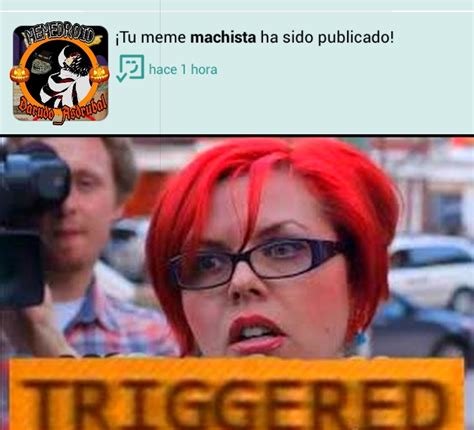 Feminista Meme Subido Por Darudo Asdrubal Memedroid