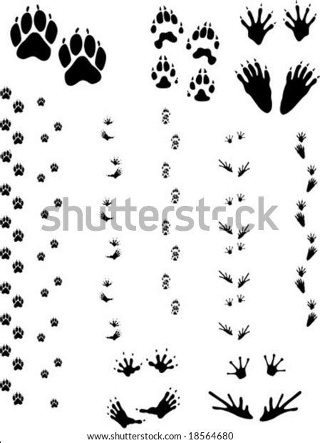 18 Wolverine Paw Print Background Stock Vectors, Images & Vector Art ...