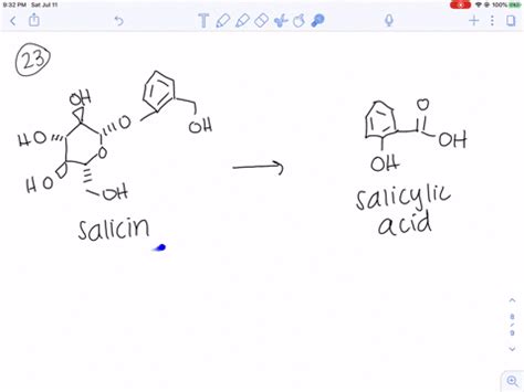 Solved The Penicillins And Cephalosporins Beta Lactam Antibiotics