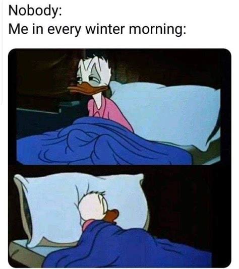 Winters Are For Hibernation Rmemes