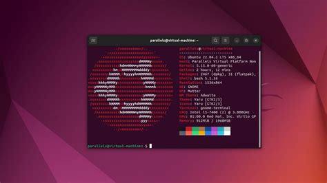 Cómo Actualizar 4MLinux Ciberriesgos Y Ciberseguros