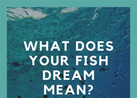 The Spiritual Meaning Of Fish In Dreams Decrypting Symbolic