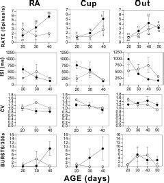 A Age And Sex Dependent Changes In The Optical Density Ratio Of