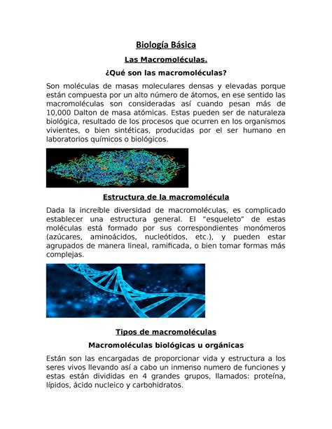 Las Macromoléculas Biología Biología Básica Las Macromoléculas Qué