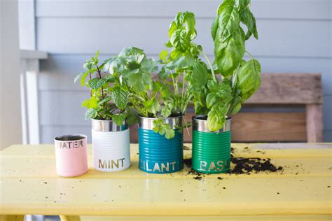 Upcycled Garden Ideas Anyone Can Do An Oregon Cottage