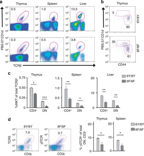 Nkt Cell And T Cell Development In Y Y And F F Mice A