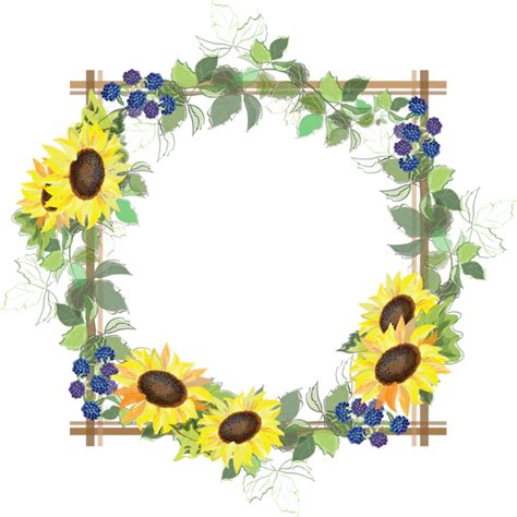 Divider Clipart Sunflower Divider Sunflower Transparent Free For