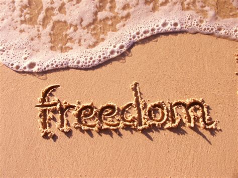 Everybody Always Seeks Freedom From Harmful Contacts — Steemit