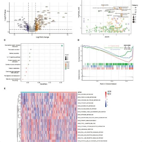 Functional Enrichment Analysis Between Risk Types A Volcano Plot Of Download Scientific