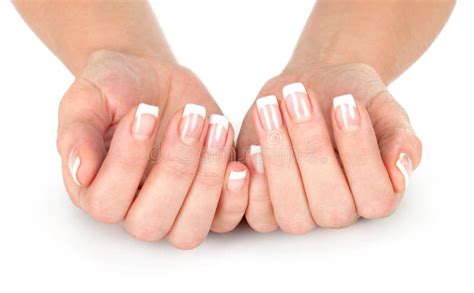 Beauty Elegant Female Hands With French Manicure Stock Image Image Of