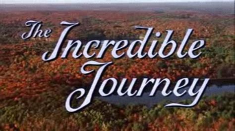 The Incredible Journeygallery Disney Wiki Fandom