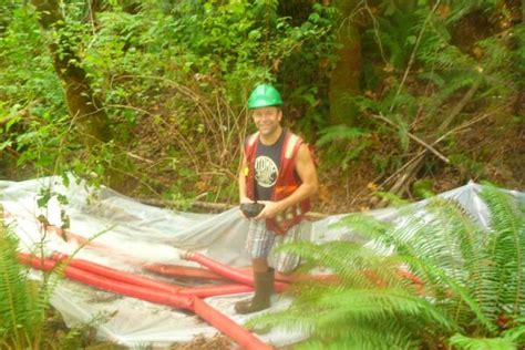 Projects Morrison Creek Streamkeepers