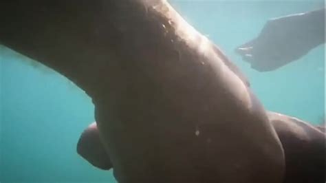 Vid Os Gay Fellation Xvideos