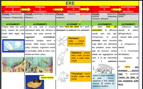 LA VITA SULLA TERRA: LE ERE | Insegnare storia, Attività di storia ...