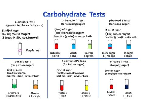 Experiment Carbohydrates Pptx