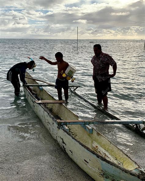 Palolo Season Pacifc People And Their Best Palolo Catch This Week