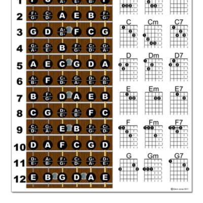 Laminated Left Handed Guitar Chord Chart Poster Fretboard Reverb