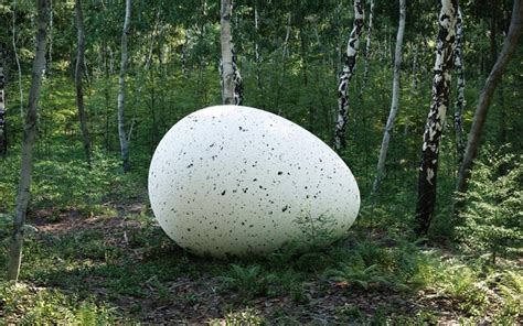 Premium Photo | Giant egg in the forest