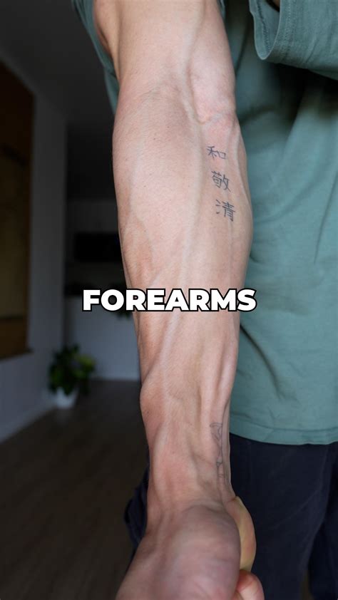 Tristan Née | Calisthenics & Wellness | Want to train forearms but don