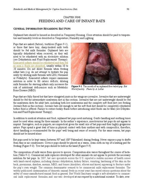 Chapter9-Final Feeding and Care of Infant Bats | PDF | Bat | Milk