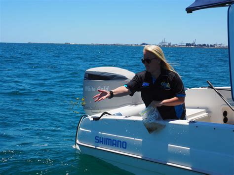 Restoration project building habitat for Pink Snapper in WA | OzFish Unlimited