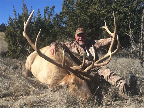 Ridgeline Outfitters Belen, New Mexico | Ultimate Elk Hunting
