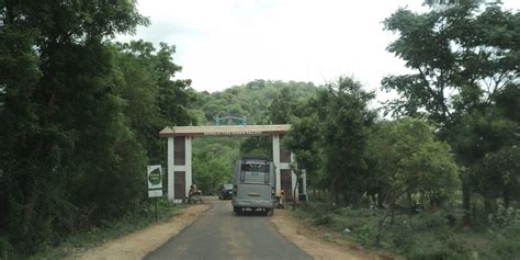 Valparai Trekking: Explore Scenic Trails Of Western Ghats - TripXL