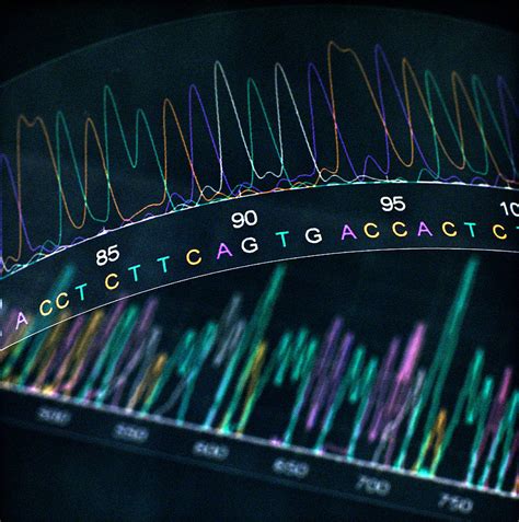 Dna Analysis Photograph By Kevin Curtis Fine Art America